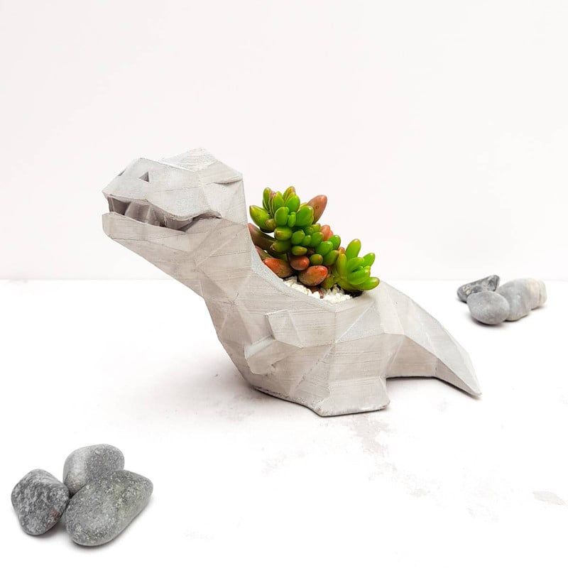 CONKRETE - Maceta de Cemento Dinosaurio T-rex + Planta Suculenta aleatoria