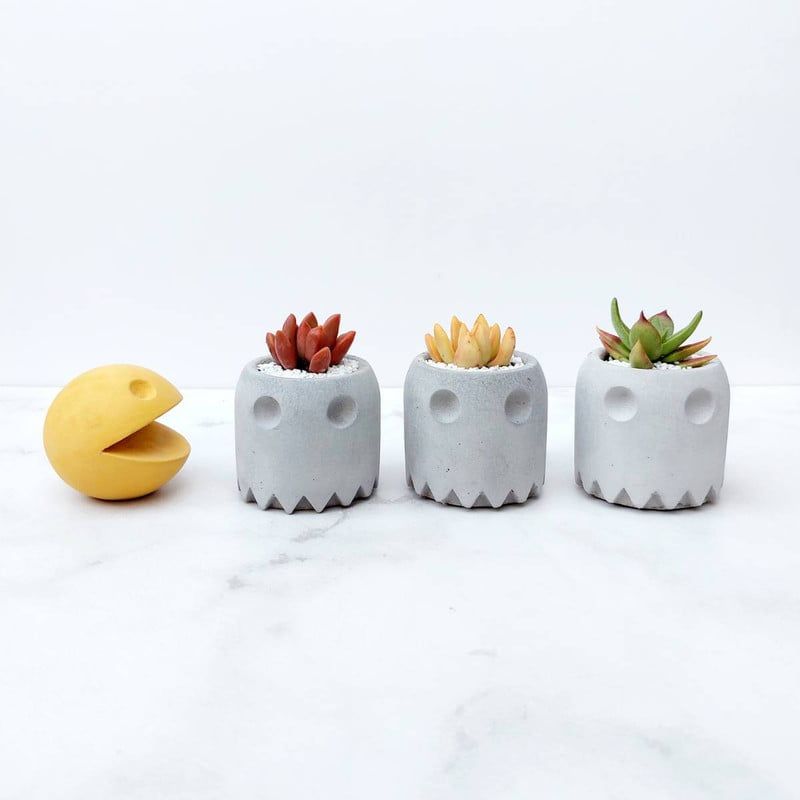 CONKRETE - Pack Macetas de Cemento Pacman  Plantas Suculentas aleatorias
