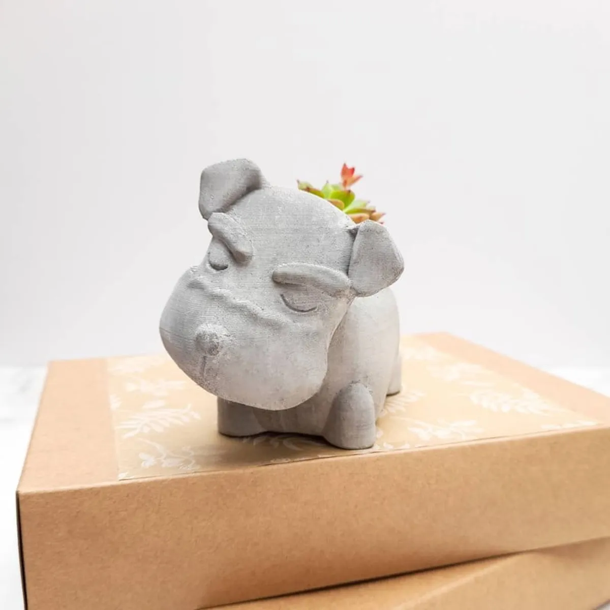 CONKRETE - Maceta de Cemento Perro Schnauzer + Planta Suculenta aleatoria