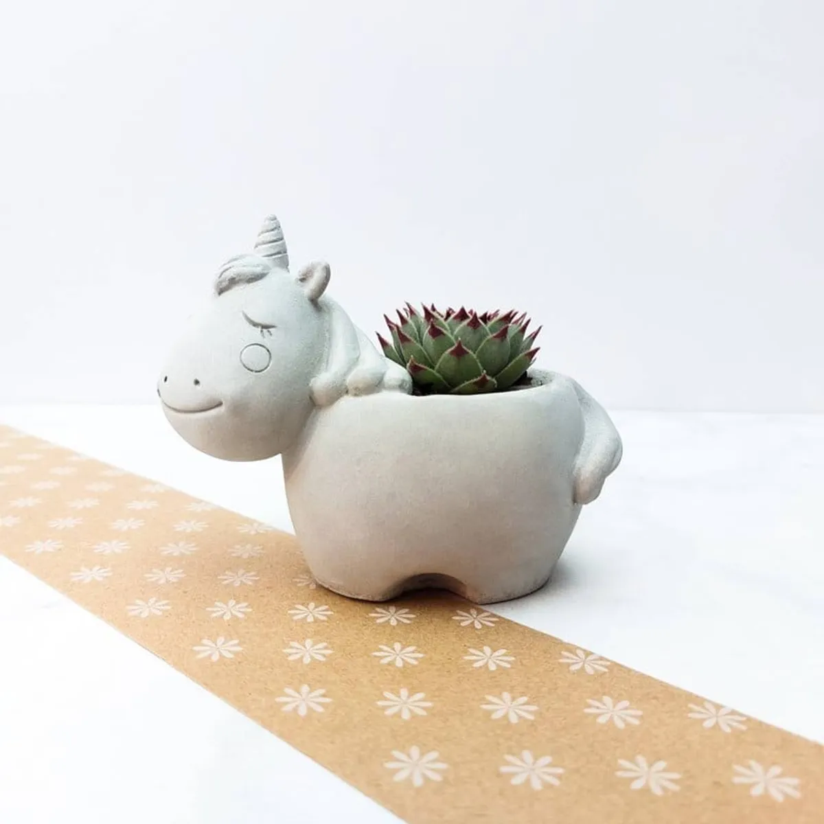 CONKRETE - Maceta de Cemento Unicornio + Planta Suculenta aleatoria
