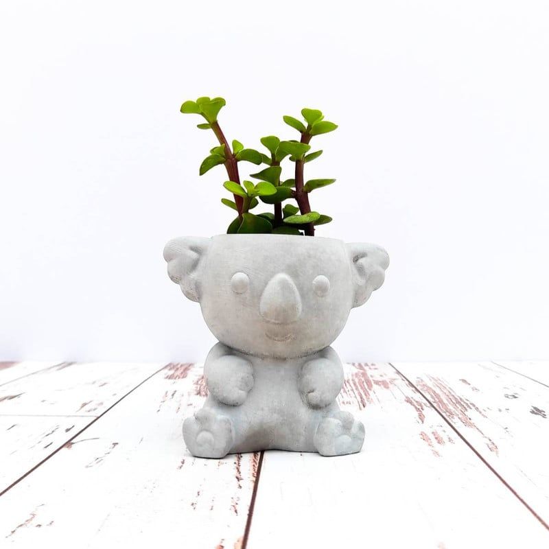 CONKRETE - Maceta de Cemento Koala + Planta Suculenta modelo aleatorio