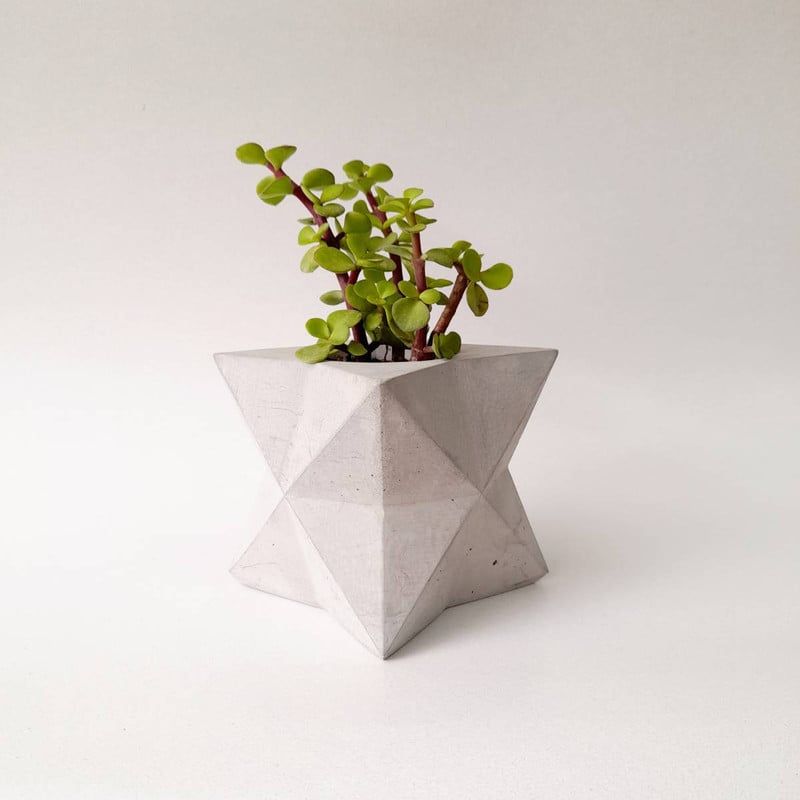 CONKRETE - Maceta de Cemento Estrella + Planta Suculenta modelo aleatorio