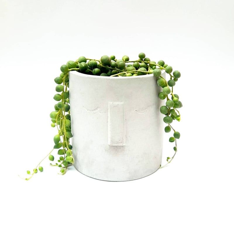 CONKRETE - Maceta de Cemento Soñador + Planta Suculenta modelo aleatorio