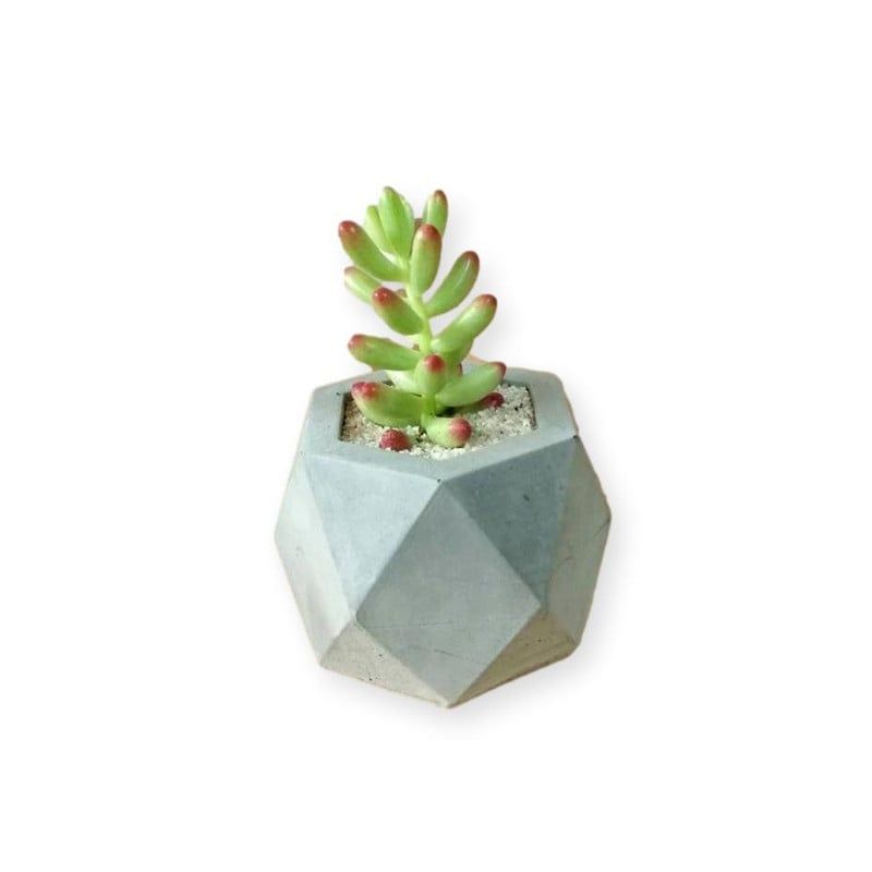 CONKRETE - Maceta de Cemento Poliedro + Planta Suculenta modelo aleatorio
