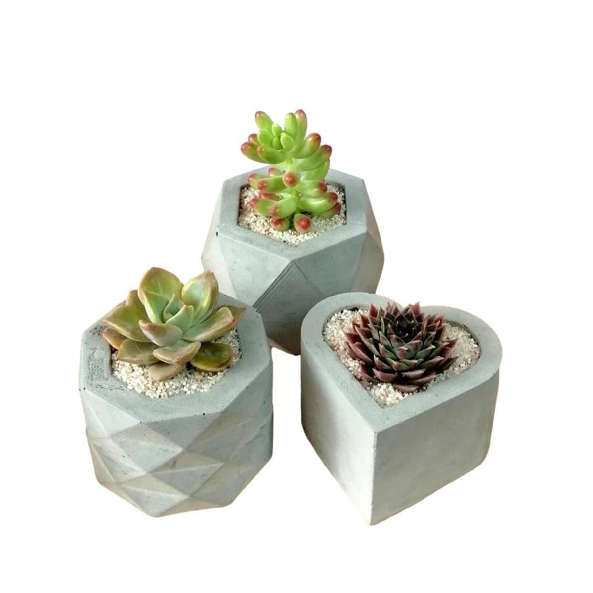 CONKRETE - Pack x3 Macetas de Cemento Geométricas + Plantas Suculentas aleatorias
