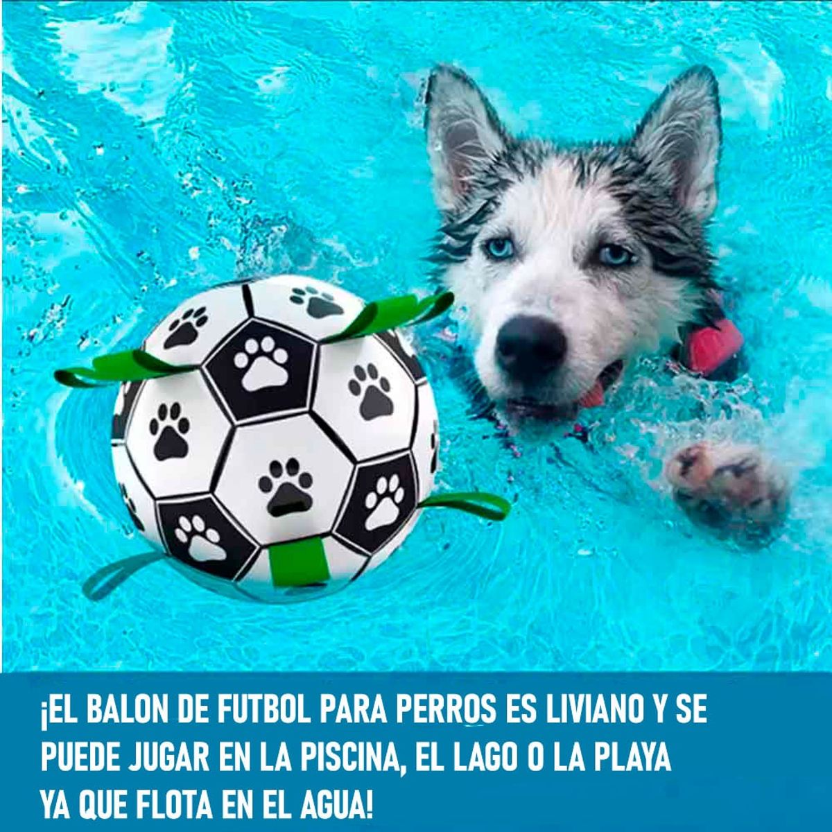 VARIOS - Pelota para Perros de Nylon con Tiras Verde