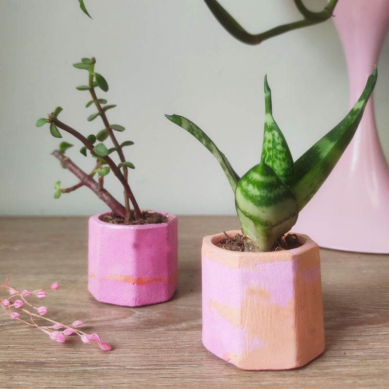 GENERICO - Maceta Concreto Bubble Gum x Tangerine