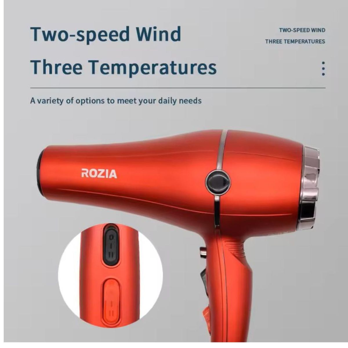 GENERICO - Secadora de Cabello Rozia Hair Dryer 8000W