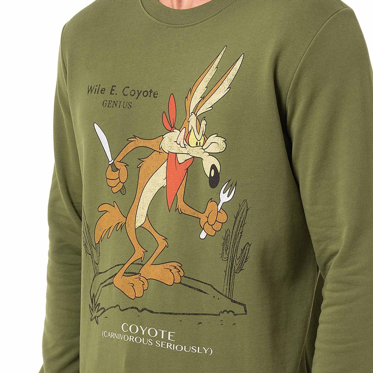 PIONIER - Polera French Terry Hombre Adrian-Looney Pionier