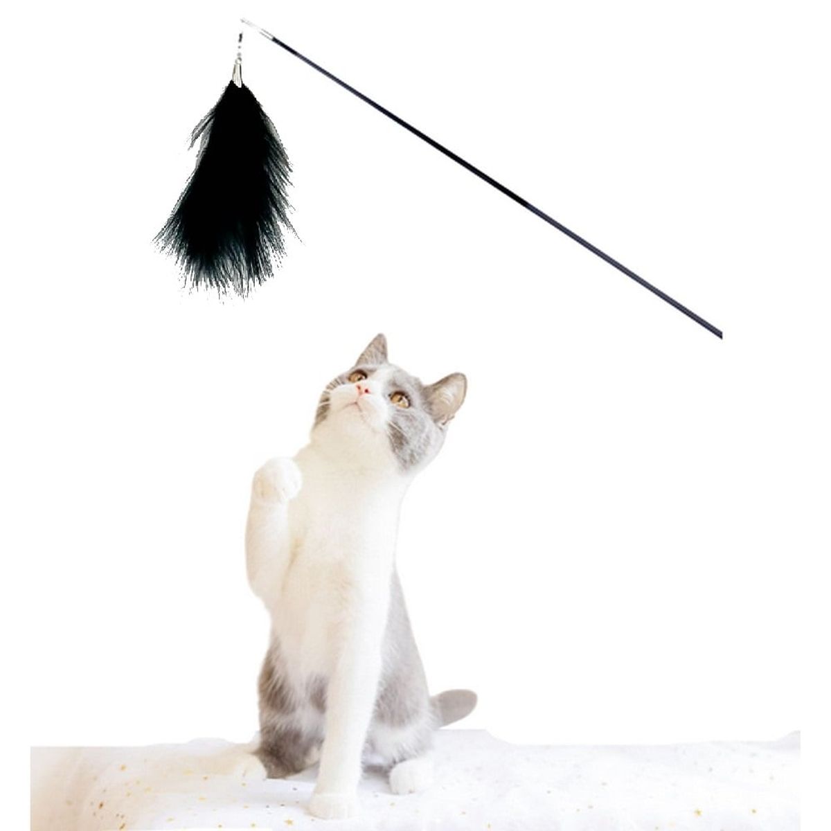 GENERICO - Mascotas - Plumas para juguete de caña de pescar Negro