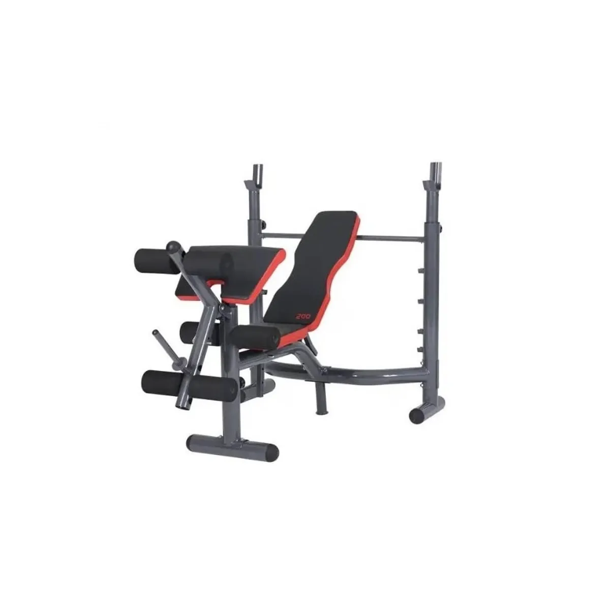 BLACKFIT - Banca de Pesas Multifuncional con rack y Predicador 302