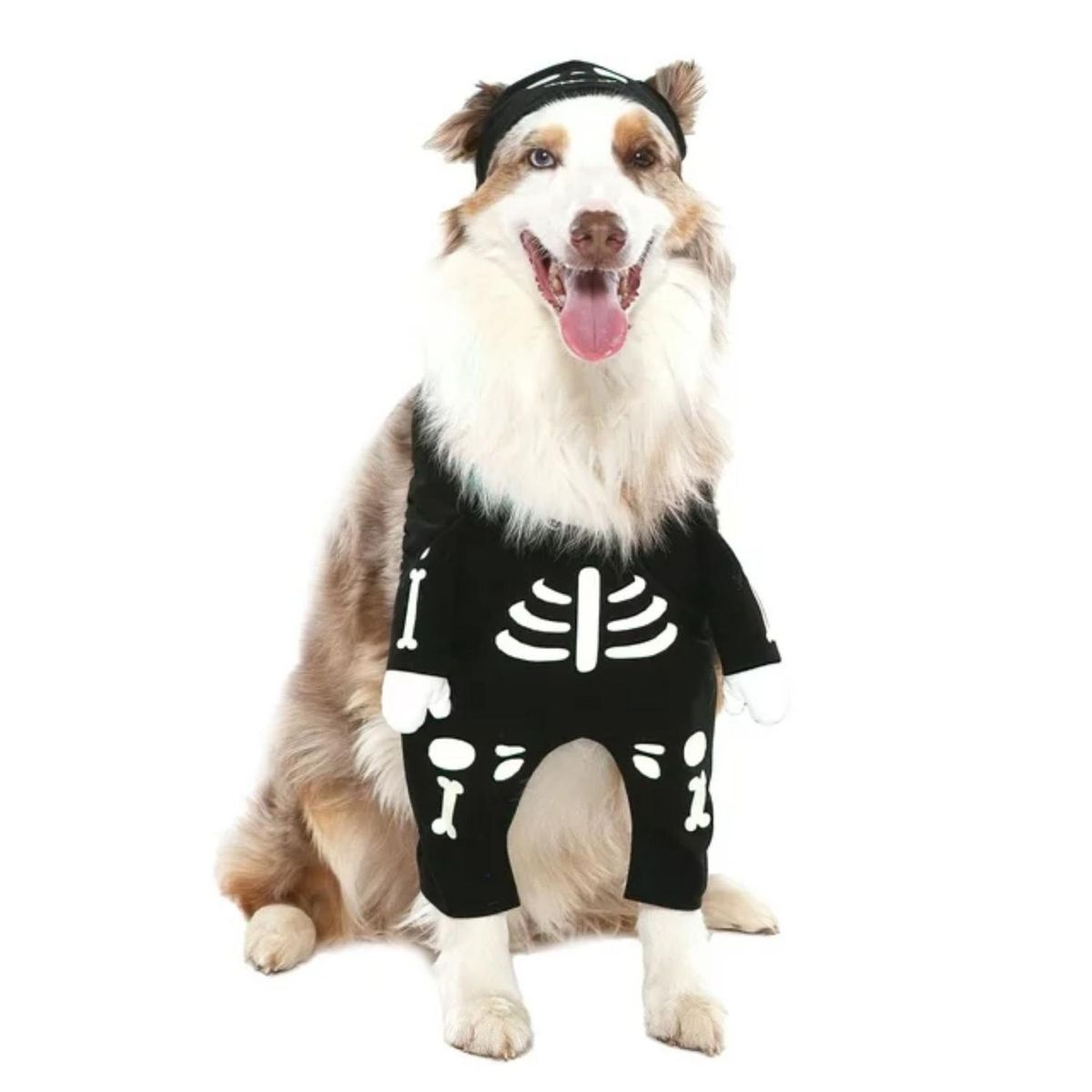 GENERICO - Disfraz para Mascota Skeleton - Negro - L