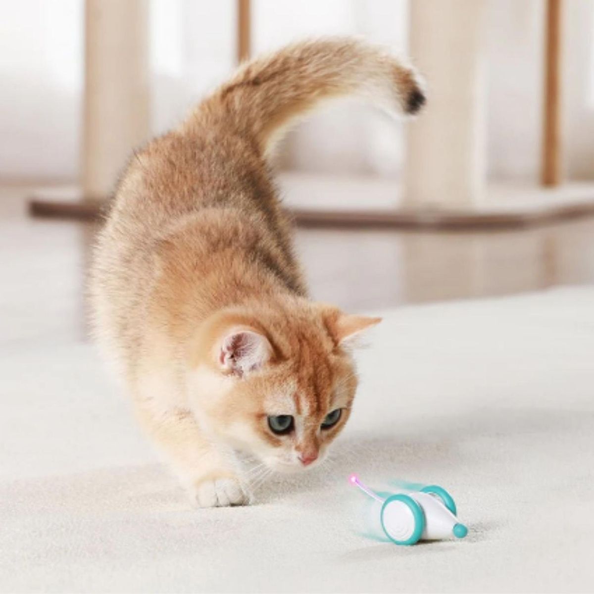 GENERICO - Juguete Interactivo para Gato PETLIBRO Ratón Pixie