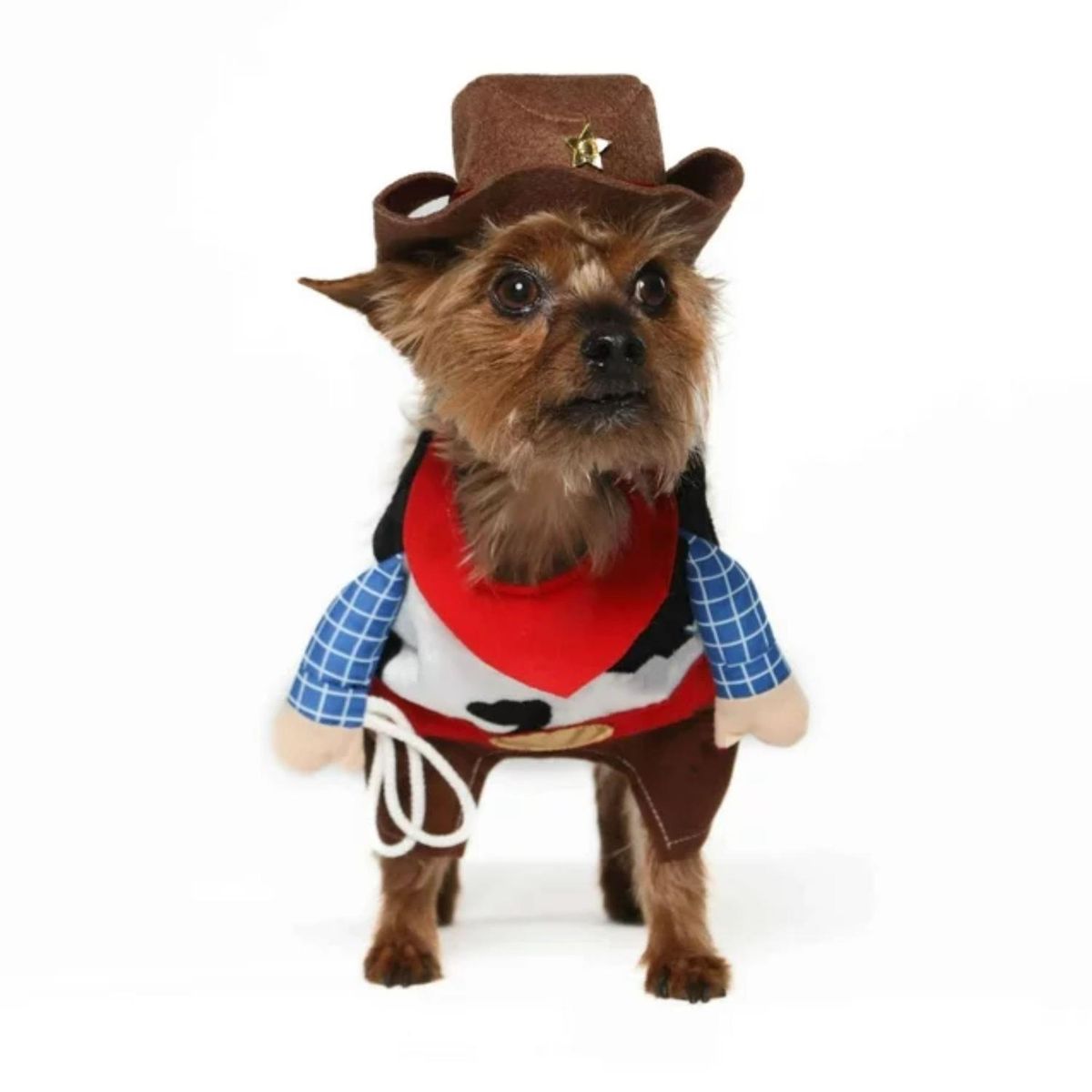 GENERICO - Disfraz para Mascota CowBoy - Azul - S
