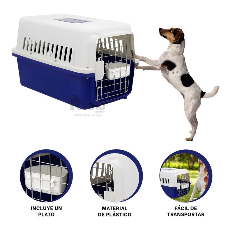 GENERICO - Caja Pet para Veterinario L60 de Azul Y+Envoltorio de Regalo
