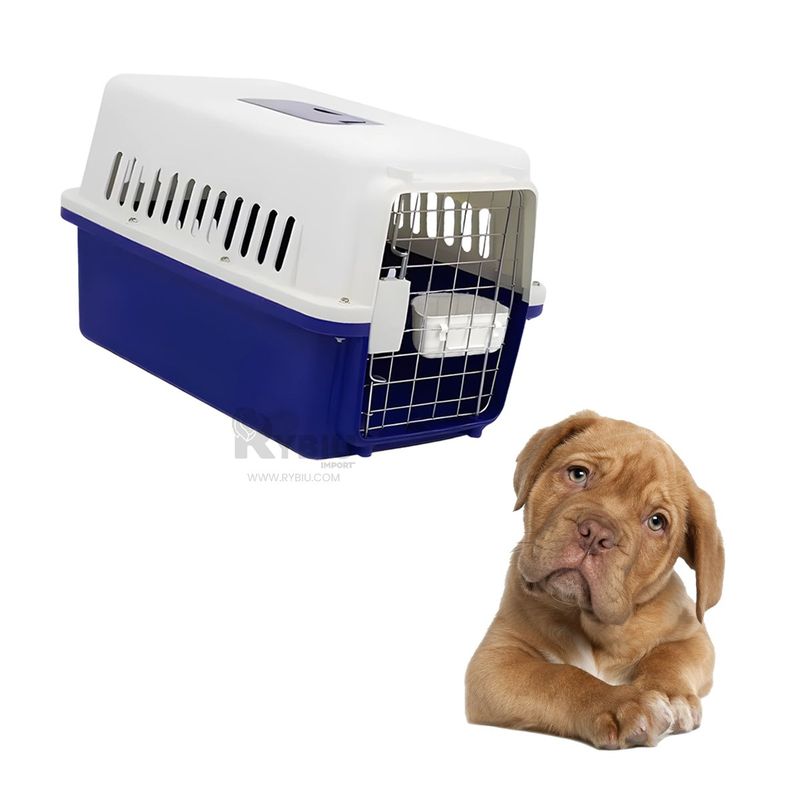 GENERICO - Transportadora Estetica para Perrro L50 en Azul Y+Stickers