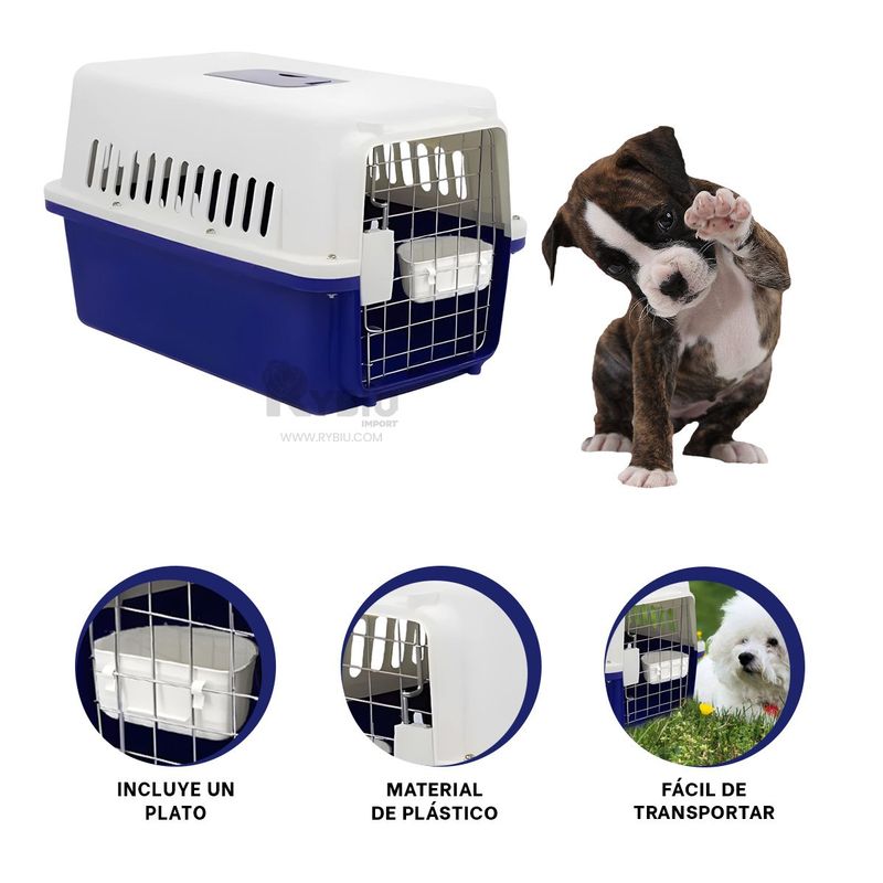 GENERICO - Caja para Transporte Canino de Azul Y+Envoltorio de Regalo