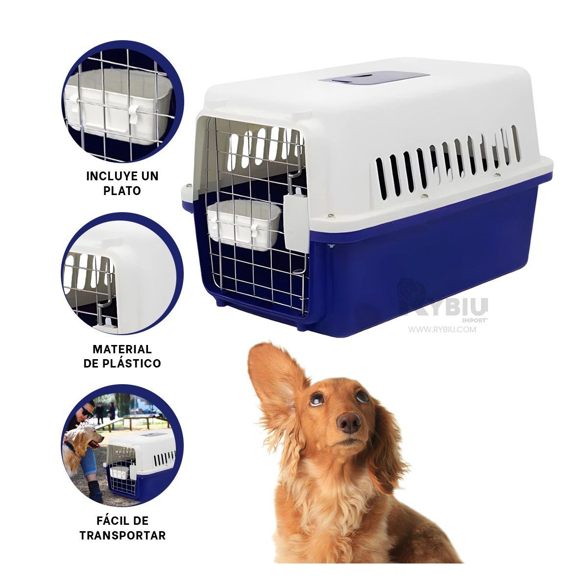 GENERICO - Caja para Paseo de Mascota L70 en Azul Y+Stickers