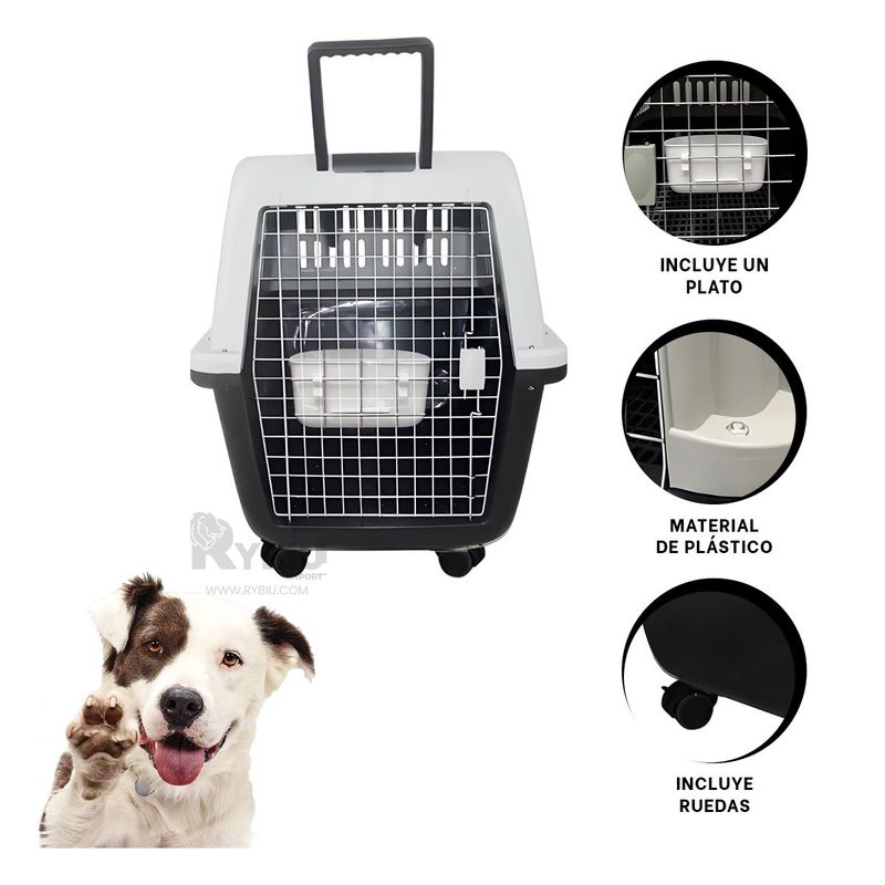 GENERICO - Caja Resistente para Mascota en Color Negro Y+Stickers