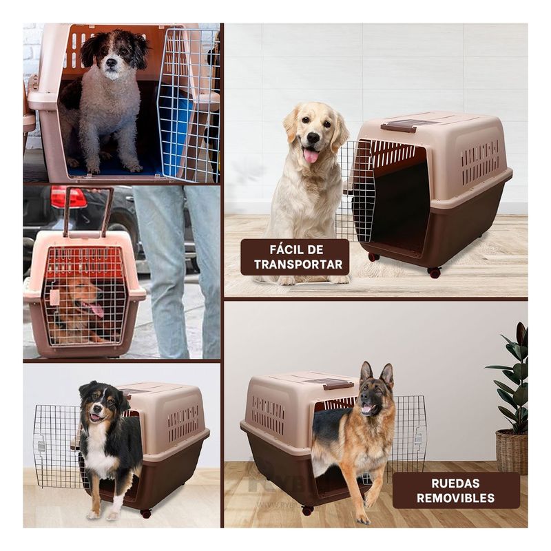 GENERICO - Bolsa Practica para Mascota Color Marron Y+Regalo Stickers