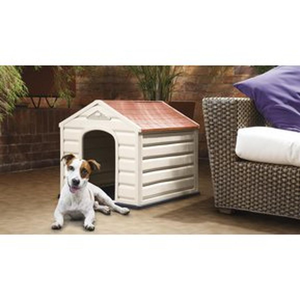 RIMAX - Casa Rimax Para Perros - Multicolor - 2
