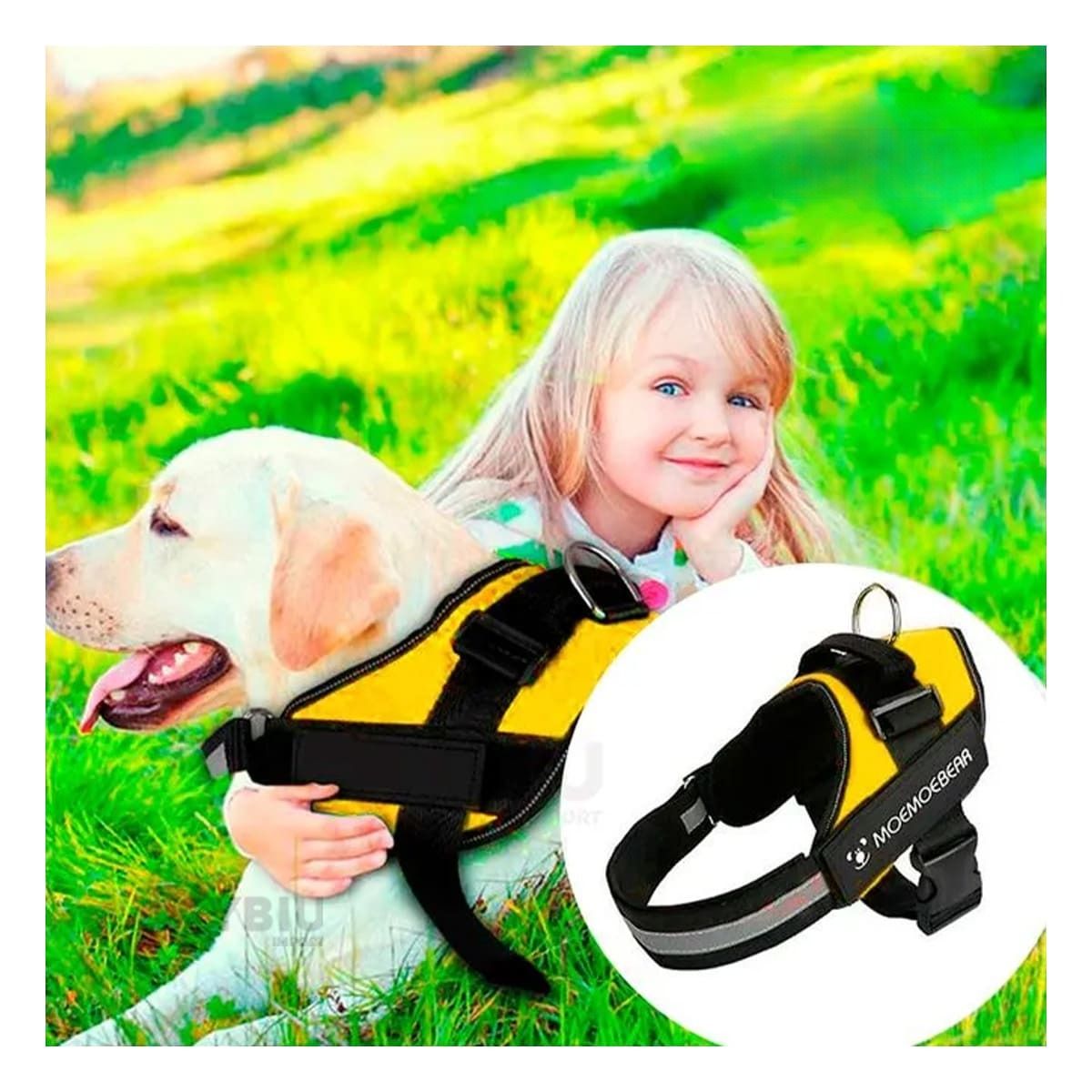 RYBIU IMPORT - Arnes de Seguridad sin Tirones en Amarillo XXL Y+Agendita