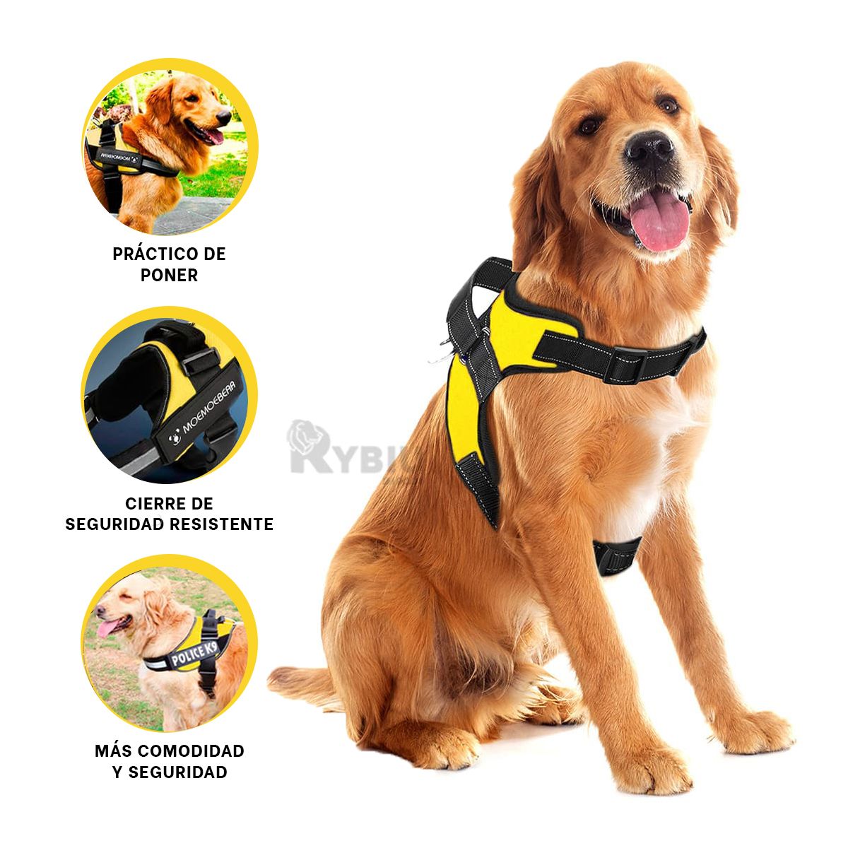 RYBIU IMPORT - Arnes de Seguridad sin Tirones en Amarillo XXL Y+Agendita