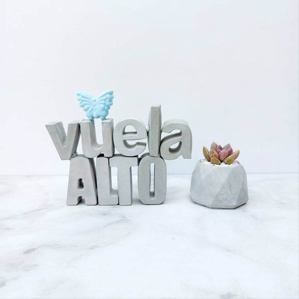 CONKRETE - Set de letras decorativas vuela ALTO + Planta Suculenta