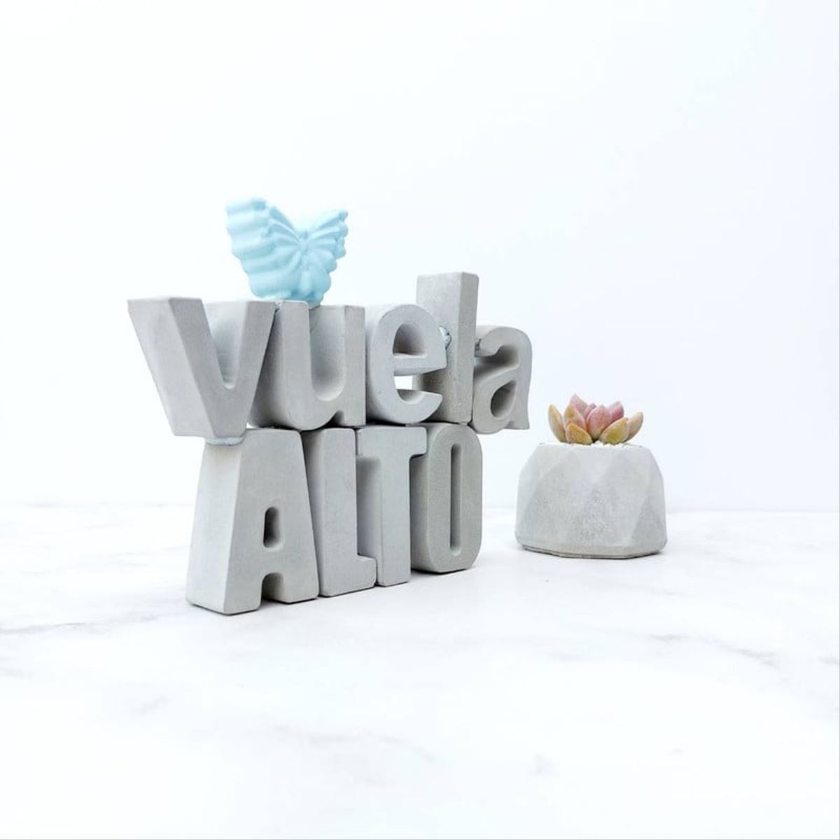 CONKRETE - Set de letras decorativas vuela ALTO + Planta Suculenta