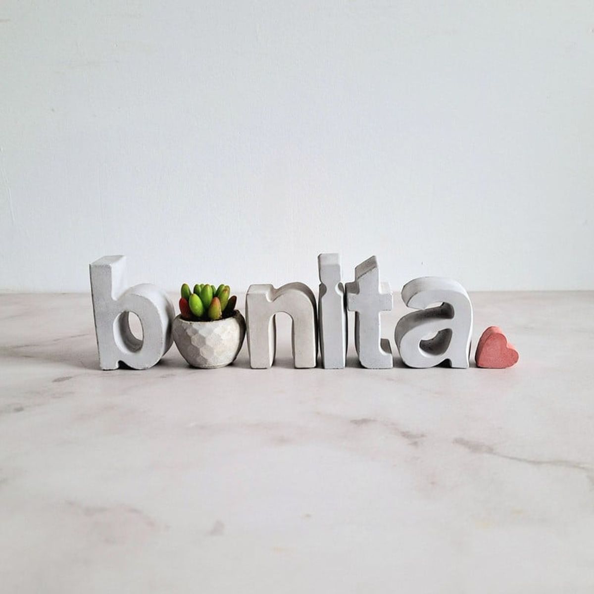 CONKRETE - Set de letras decorativas bonita + Planta Suculenta