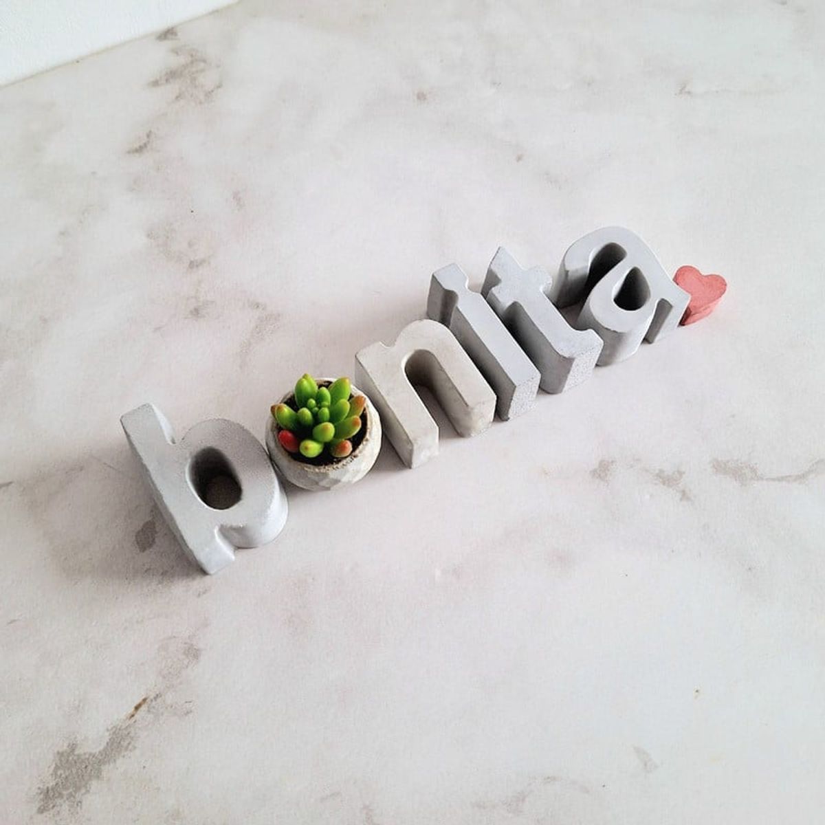 CONKRETE - Set de letras decorativas bonita + Planta Suculenta