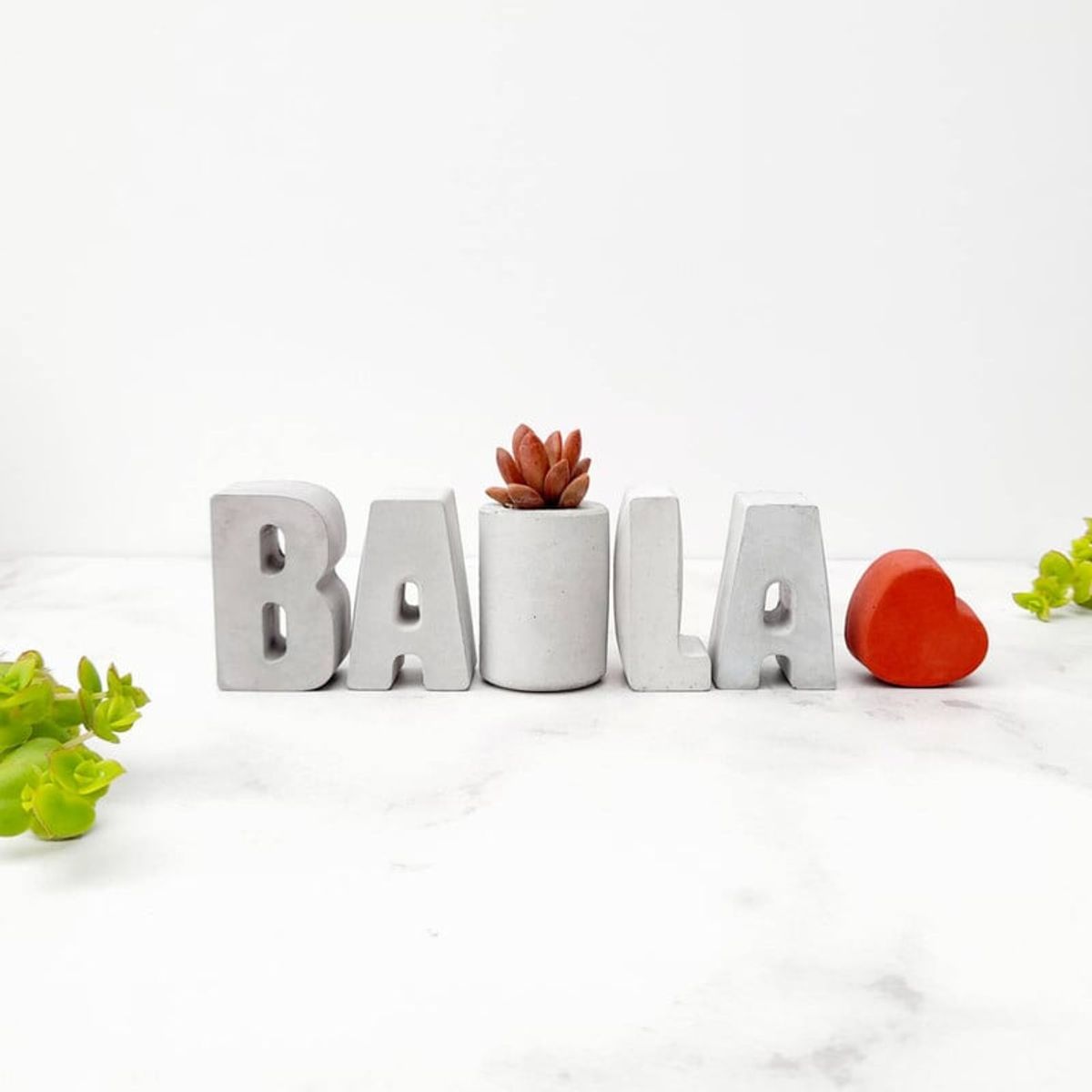 CONKRETE - Set de letras decorativas BAILA + Planta Suculenta