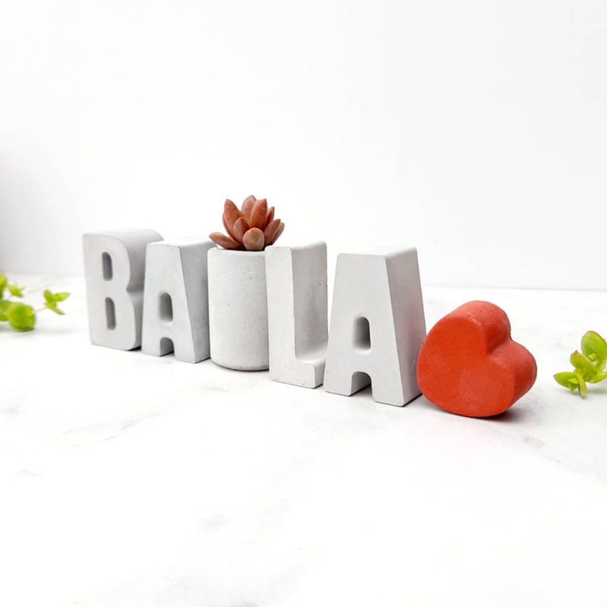 CONKRETE - Set de letras decorativas BAILA + Planta Suculenta
