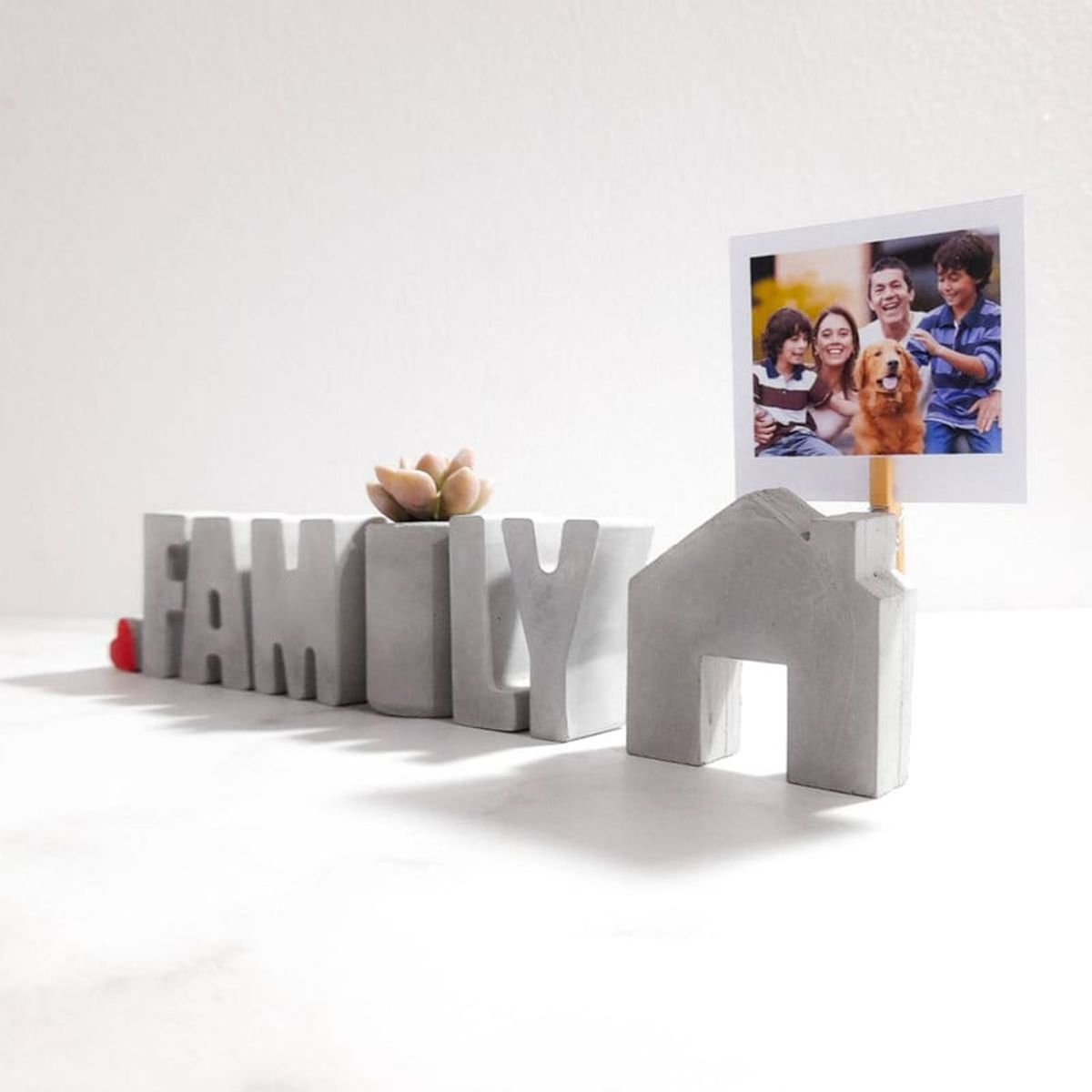 CONKRETE - Set de letras decorativas FAMILY + Planta Suculenta