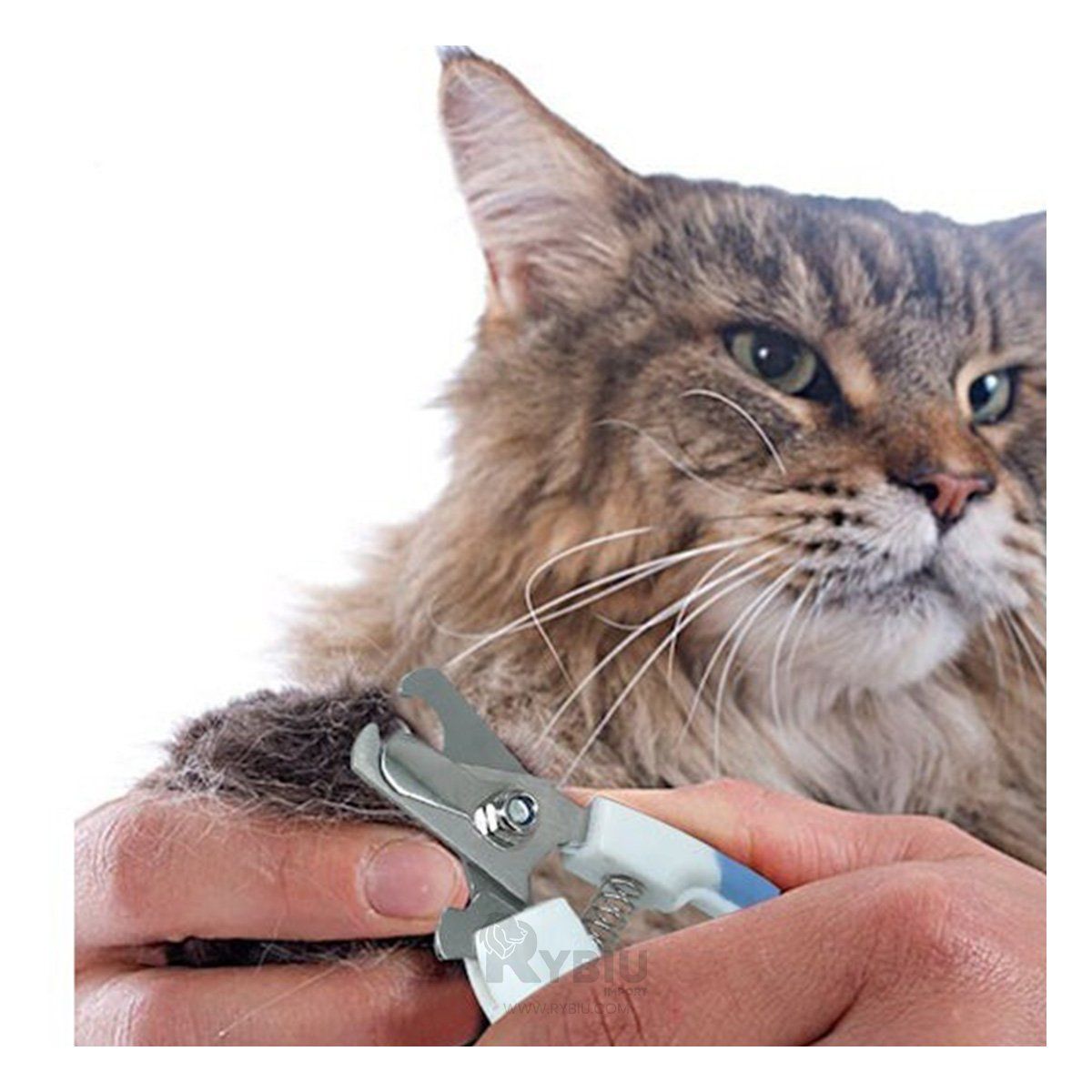 GENERICO - Corta Uñas Pet Con Lima un Mango Curvo en Azul Chico