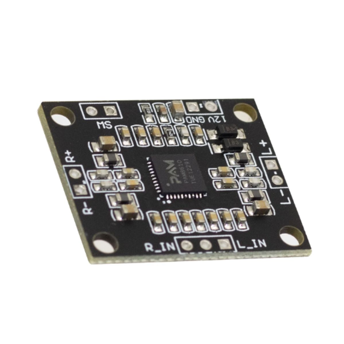 GENERICO - Mini Placa Amplificador de Audio Stereo Digital Doble Canal PAM8610