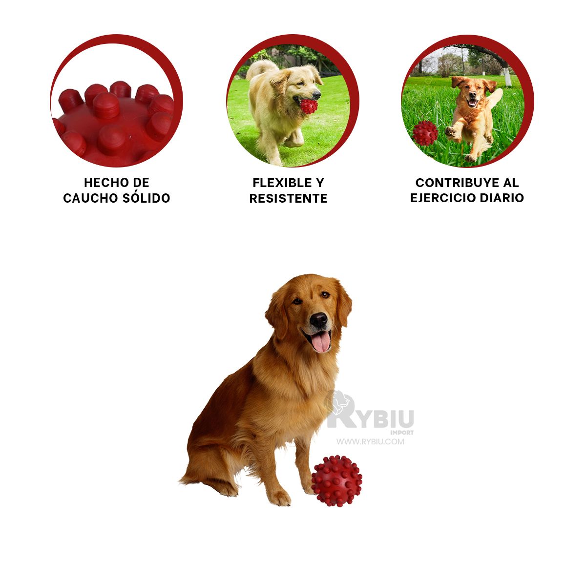 GENERICO - Pelota para Entretener Mascota Rojo Y+Regalo Stickers