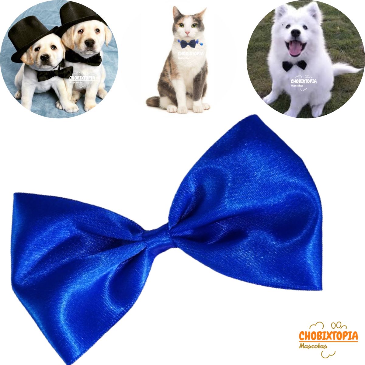 GENERICO - CORBATA MICHI PARA MASCOTA-PERRO GATO AZULINO-GRANDE