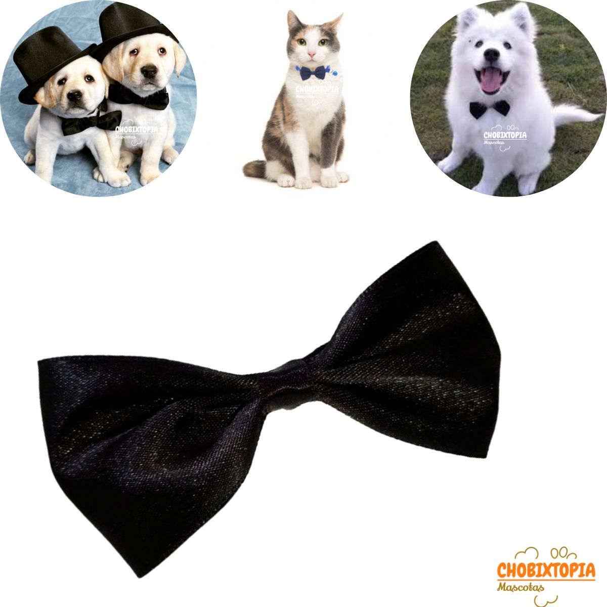 GENERICO - CORBATA MICHI PARA MASCOTA-PERRO GATO AZUL NOCHE-CHICO