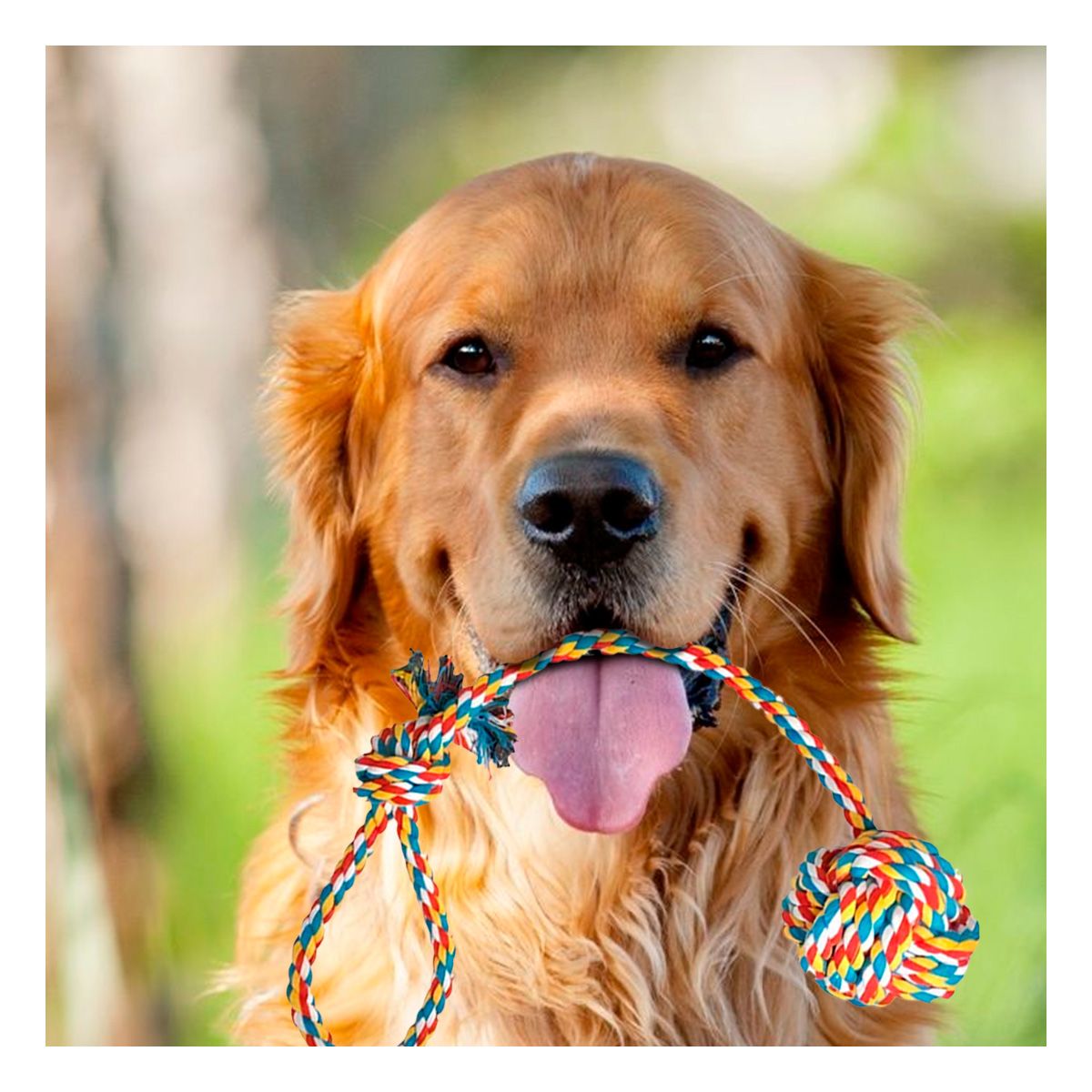 RYBIU IMPORT - Juego Practico y Lavable Color Multicolor Y+Agendita