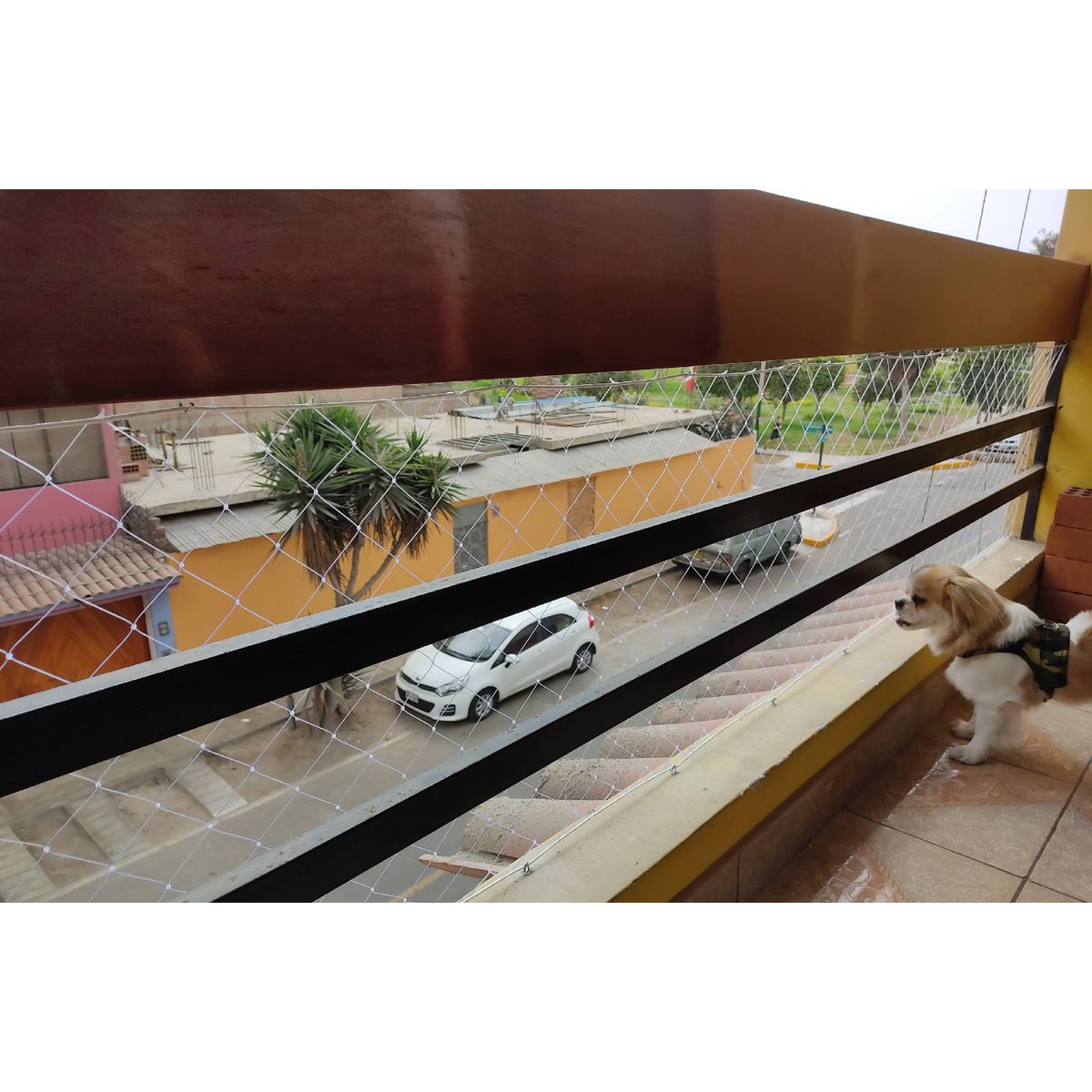 GENERICO - Malla De Seguridad Para Perro Kit 150x200cm