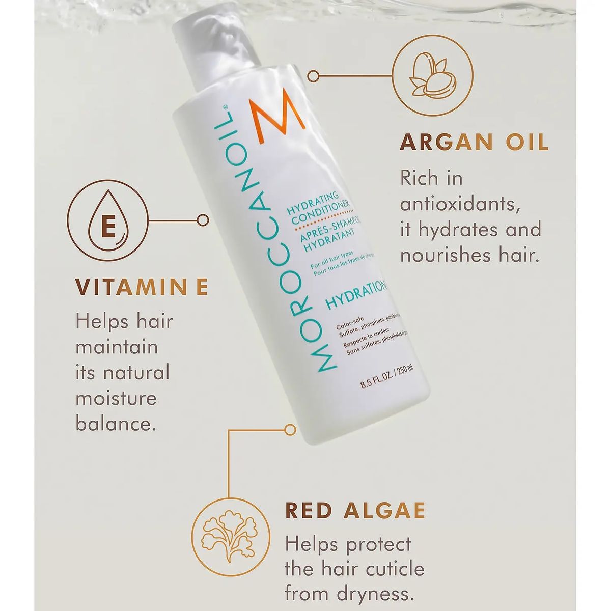MOROCCANOIL - Acondicionador Hidratante Moroccanoil Hydration 250ml