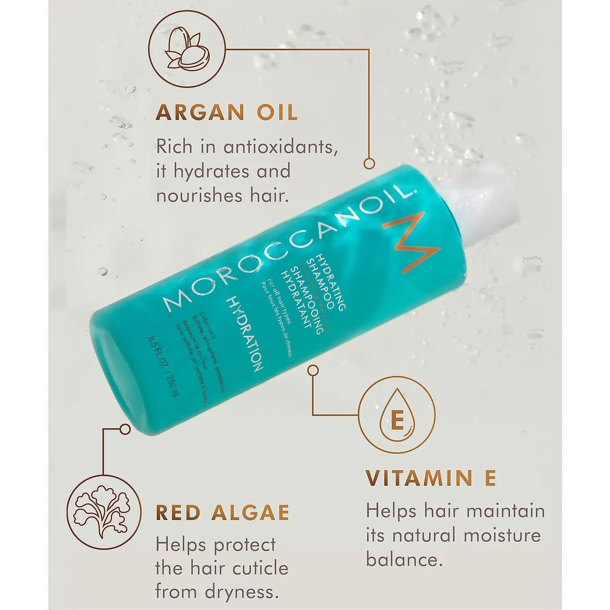MOROCCANOIL - Shampoo Hidratante 250ml+ Mascarilla Ultraligera Moroccanoil Hydration