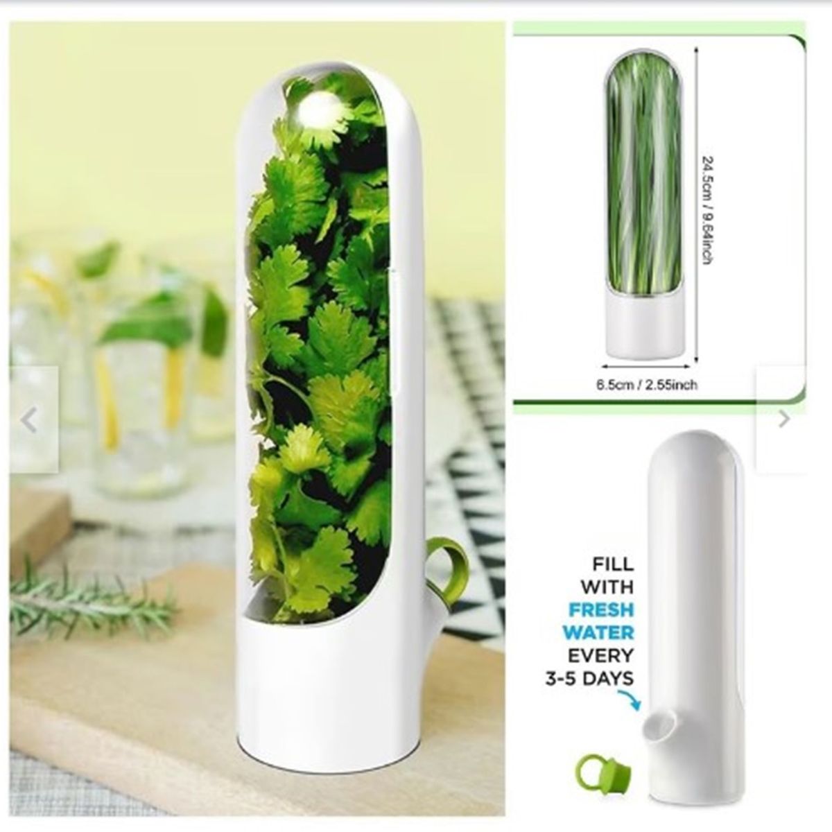 GENERICO - Conservador de hierbas verduras frescas A1