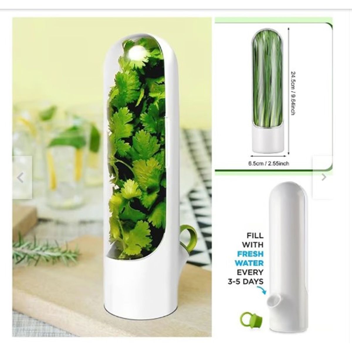 GENERICO - Conservador de hierbas verduras frescas A1