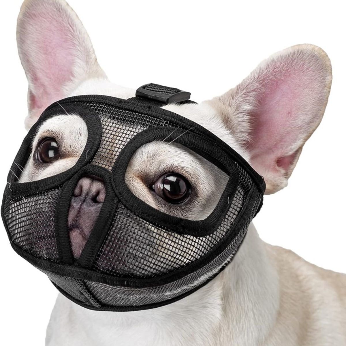 GENERICO - Bozal Máscara para Perros de Cara Plana Talla L