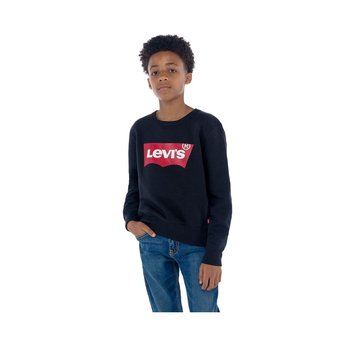 LEVIS - Polera para Niño Crew Neck Logo Batwing Levis
