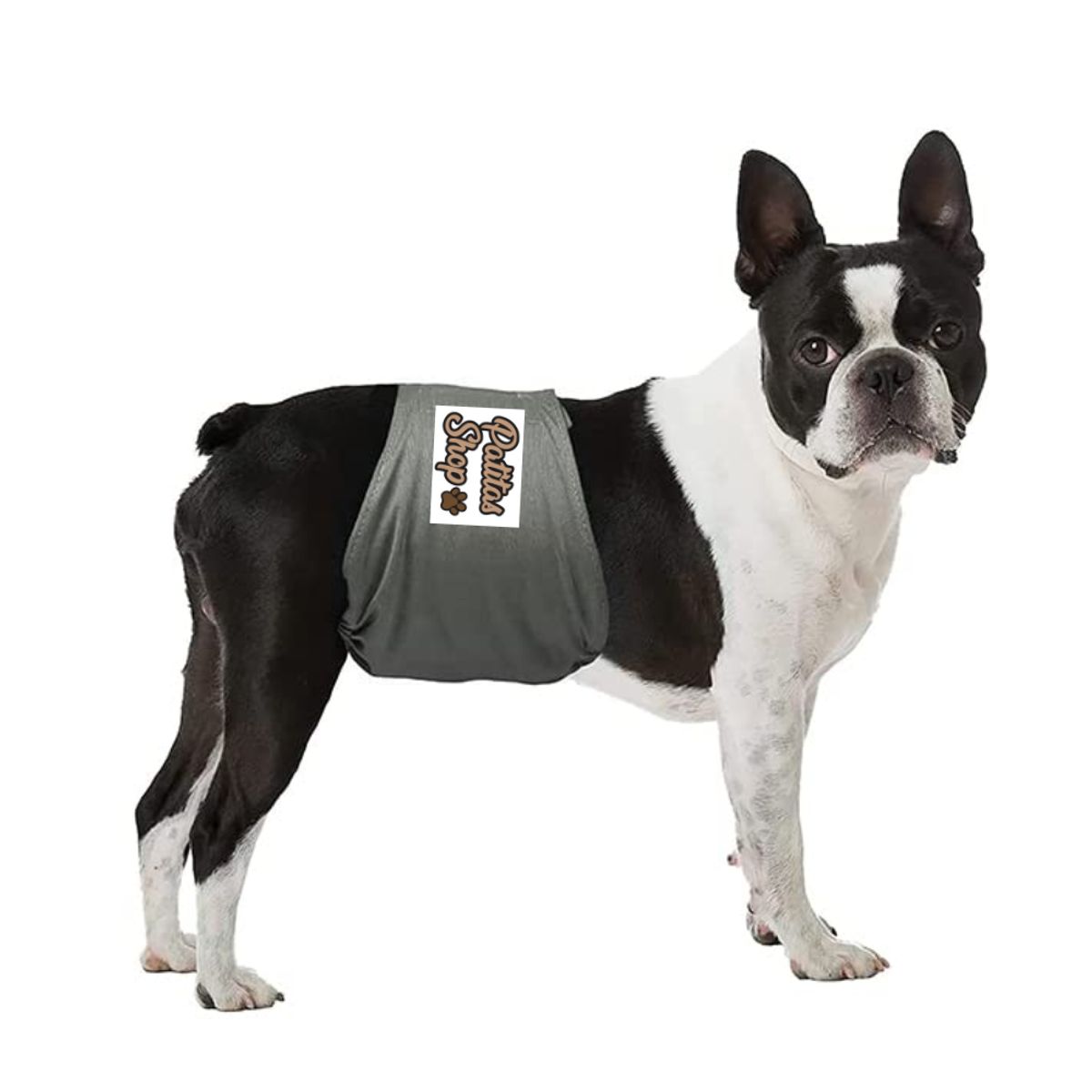 GENERICO - Pañal Reutilizable Ecológico Para Macho XS