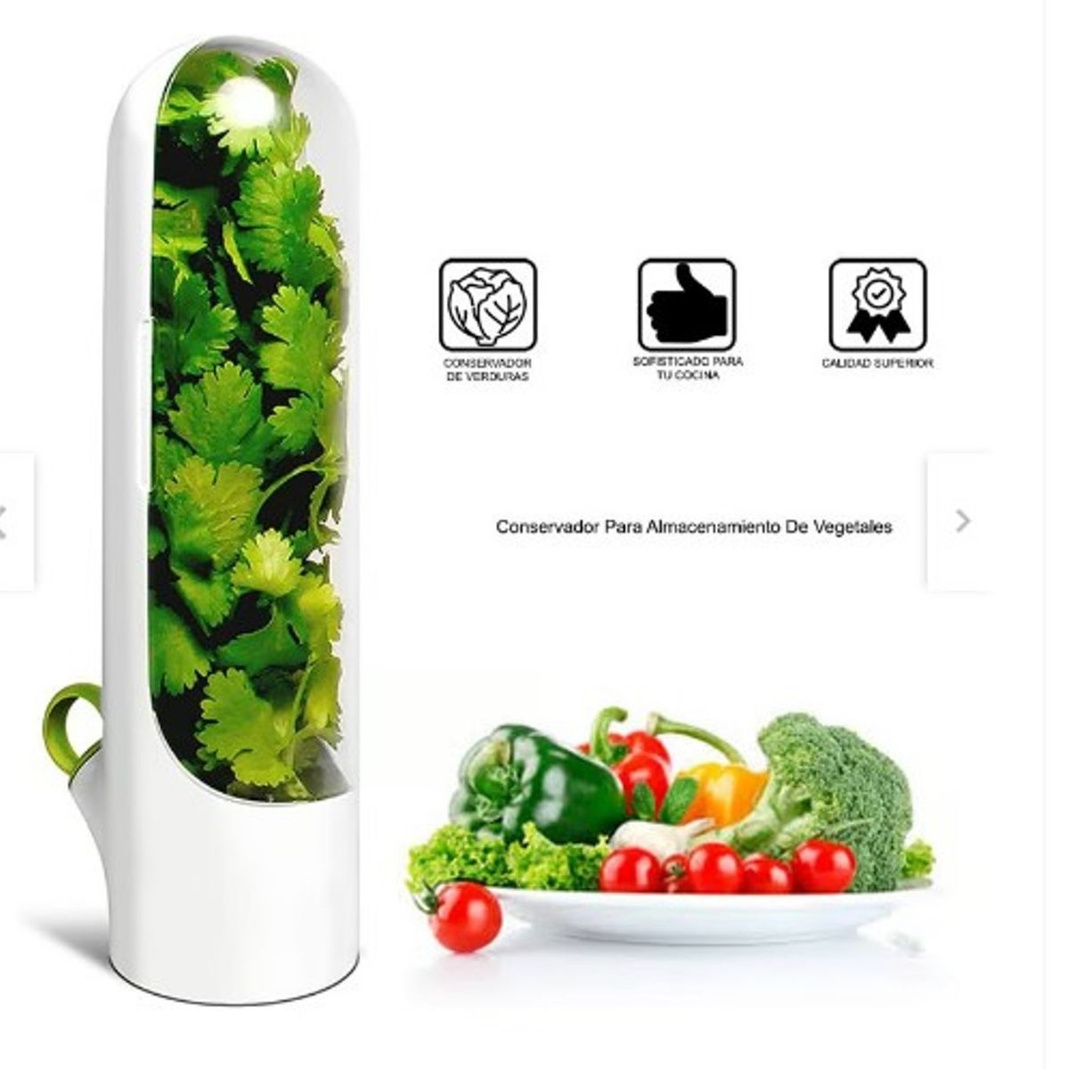 GENERICO - Conservador de hierbas verduras frescas A1 de Calidad