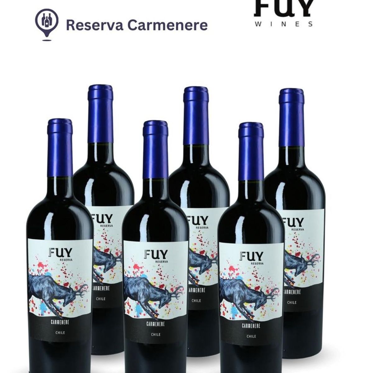 FUY - Vino FUY Carmenere reserva pack x 6